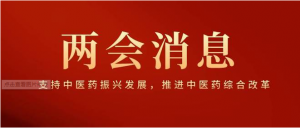 2023兩會(huì)“藥點(diǎn)”來(lái)了！政府工作報(bào)告：推進(jìn)藥品集采、中醫(yī)藥創(chuàng)新、急需藥進(jìn)保……